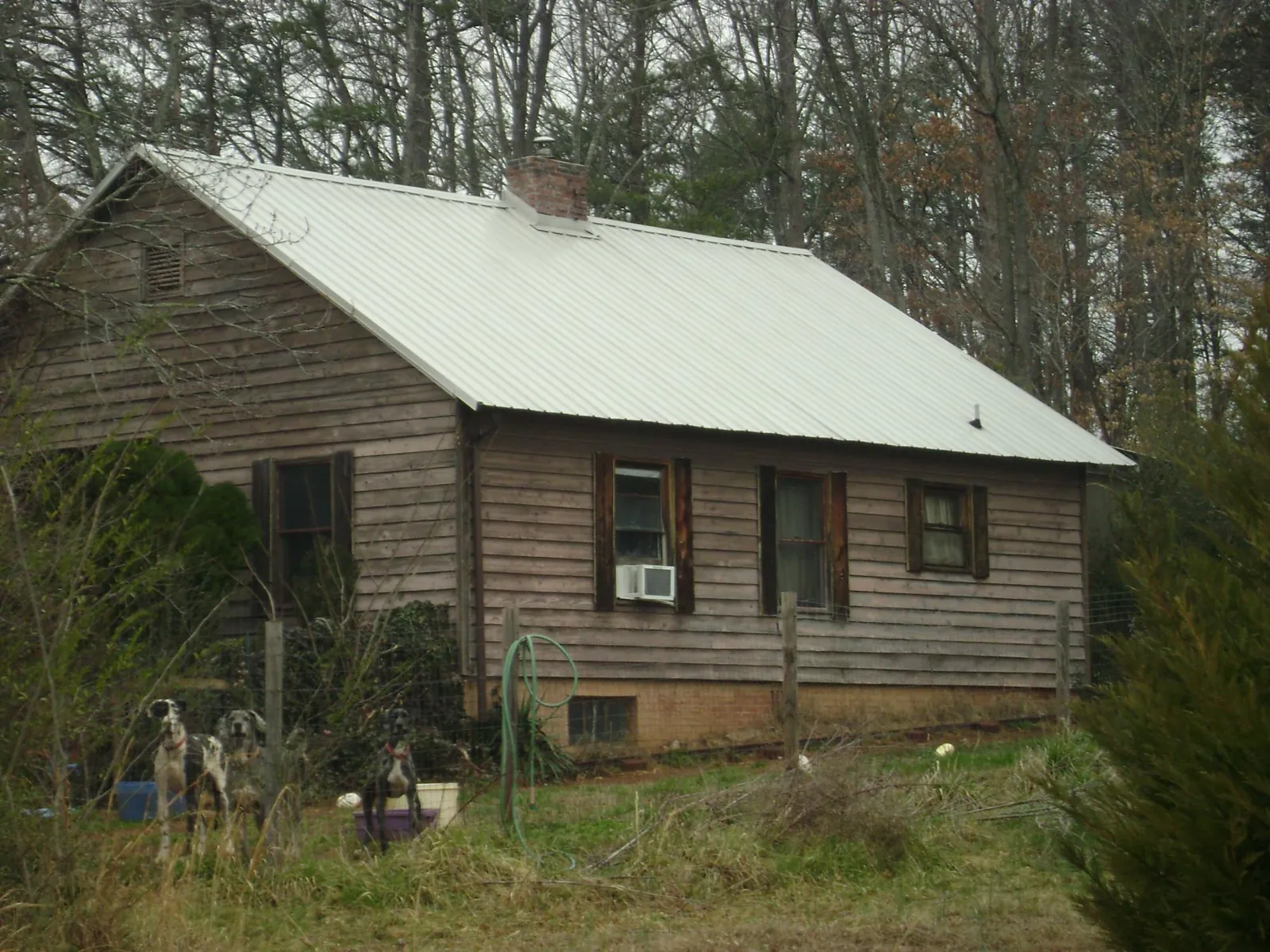 White metal roof on an old wood sided farmhouse, from a Asphalt Shingle Roof Repair job in Monticello